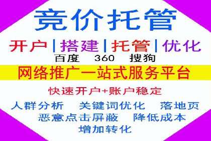 关键词竞价排名实战案例精选解析